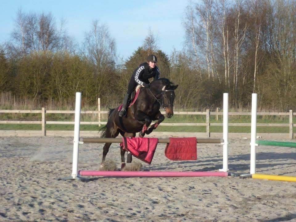 Anden særlig race Miss Shadow billede 16