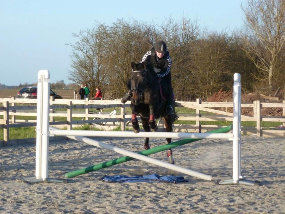 Anden særlig race Miss Shadow billede 17