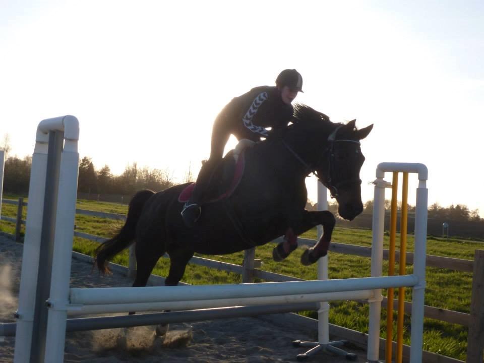 Anden særlig race Miss Shadow billede 18