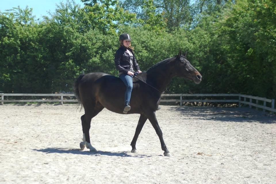 Anden særlig race Miss Shadow billede 19