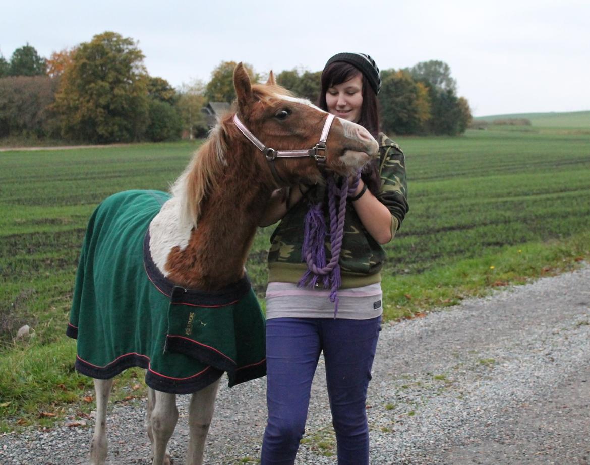 Anden særlig race Gibby billede 15