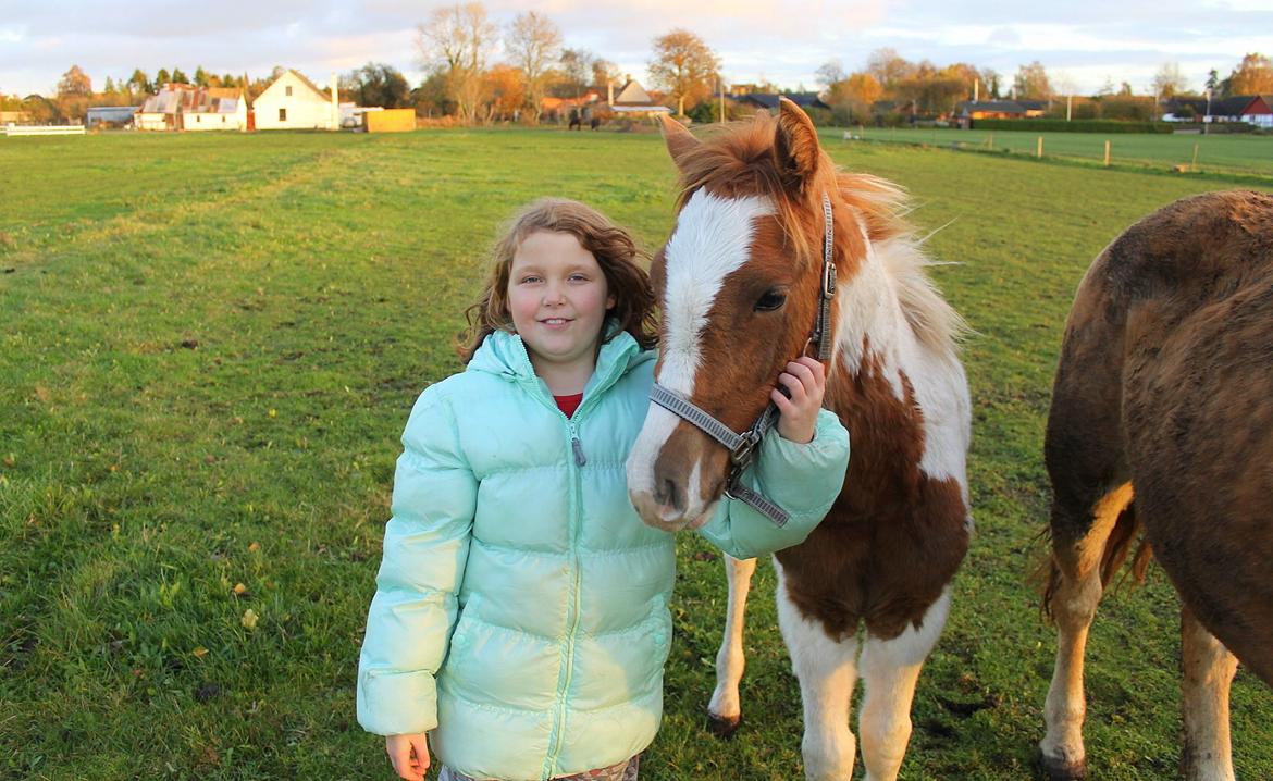 Anden særlig race Gibby billede 5