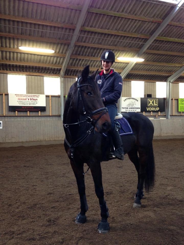 Anden særlig race Bastian billede 13