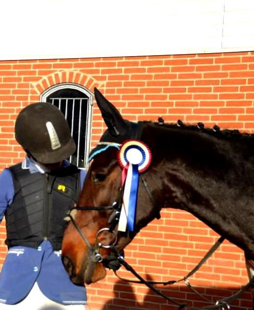 Anden særlig race Bastian billede 3