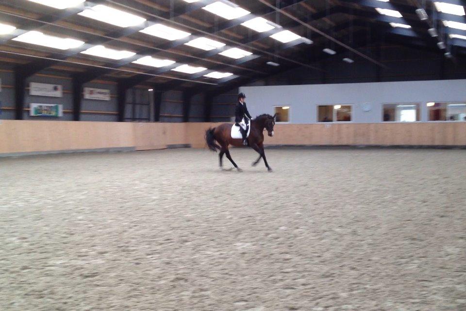 Anden særlig race Gaillarde de Osnard "Oda" <3 - Den bedste!<3 billede 4