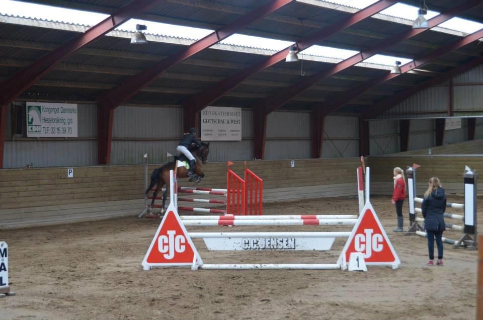 Anden særlig race Frej <3 *stjernen* - min bedste ven<3 <3  billede 3