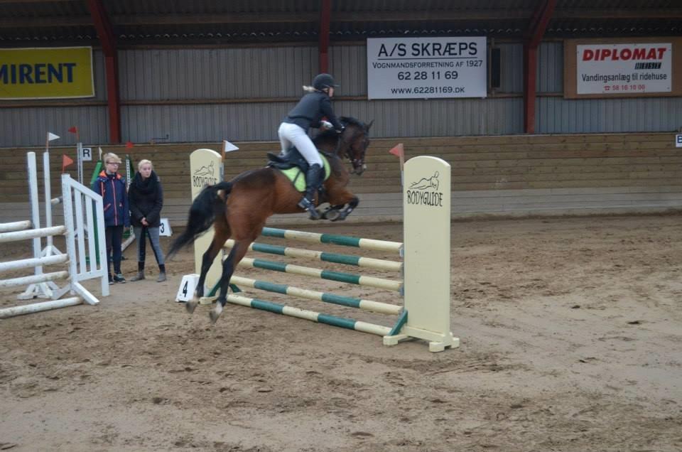 Anden særlig race Frej <3 *stjernen* - Lige et lille hop 100 cm billede 4