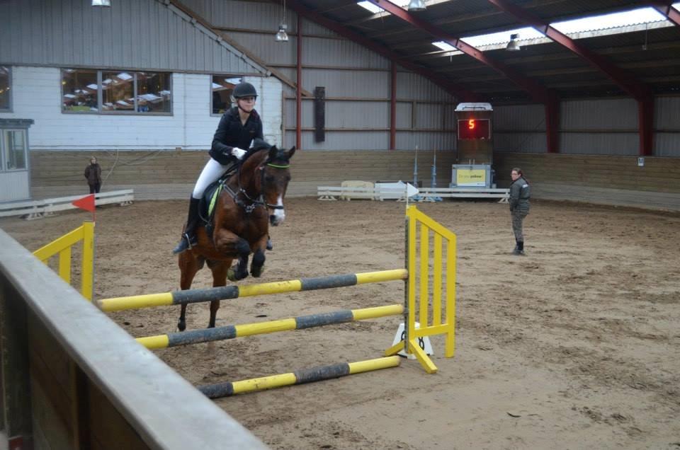 Anden særlig race Frej <3 *stjernen* - Distriktstævne 100cm <3 billede 5