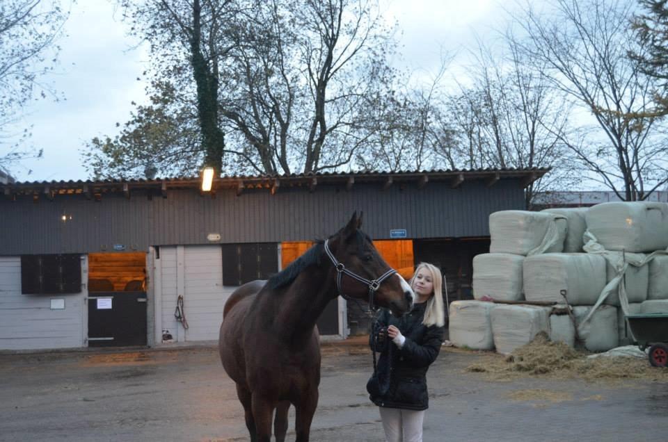 Anden særlig race Frej <3 *stjernen* - skatter <3 billede 6