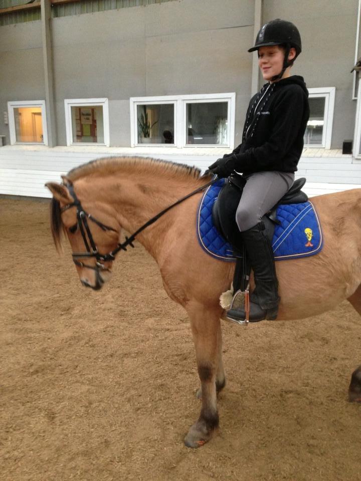 Anden særlig race Mille billede 5