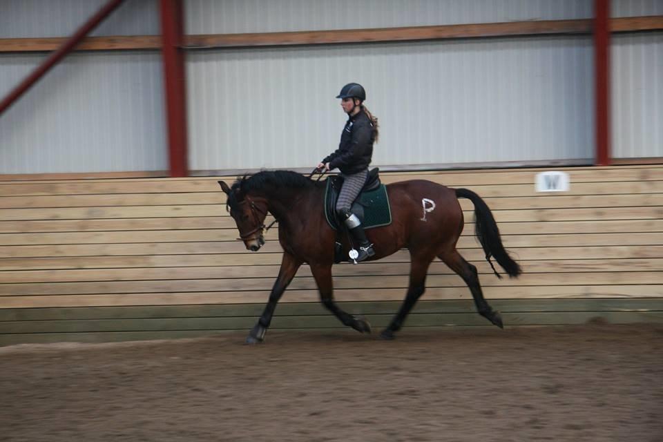 Anden særlig race Jack Bauer billede 21