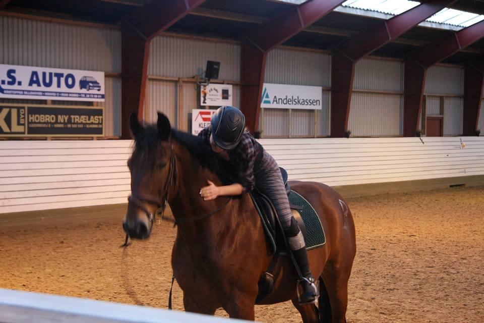 Anden særlig race Jack Bauer billede 23