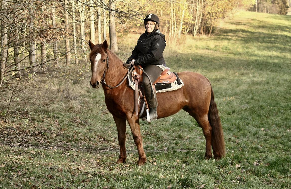 Anden særlig race | Galina Desire - Min søde mor og vores smukke pony 08.11.2013 billede 39