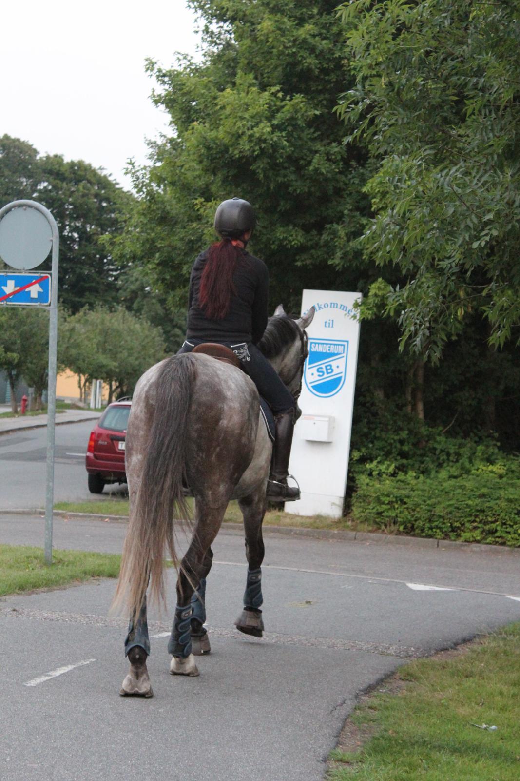 Holstener Casinado - Tak for kigget ! Nu rider vi videre der ud af :) - Christine og Casinado billede 50