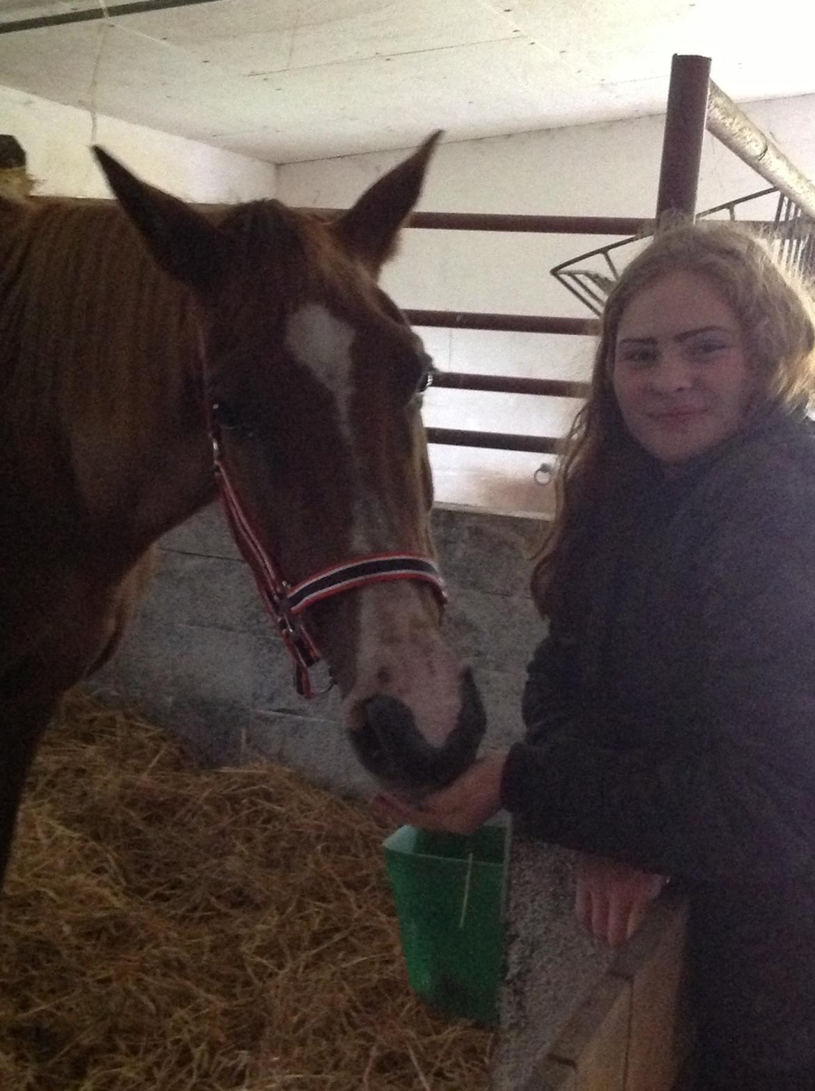 Anden særlig race Sascha - Første gang vi mødtes.  billede 1