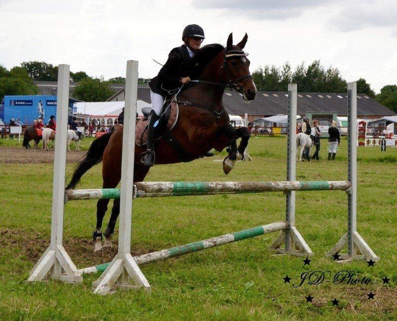 New Forest nicky billede 18