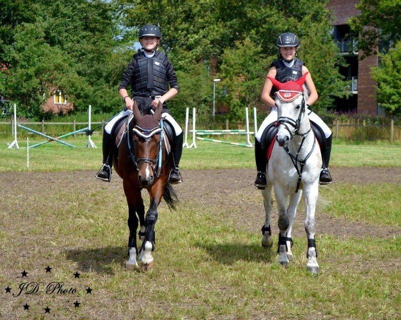 New Forest nicky billede 17