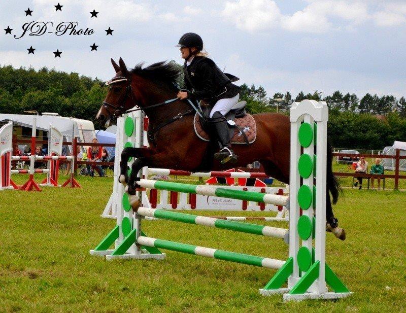 New Forest nicky billede 19