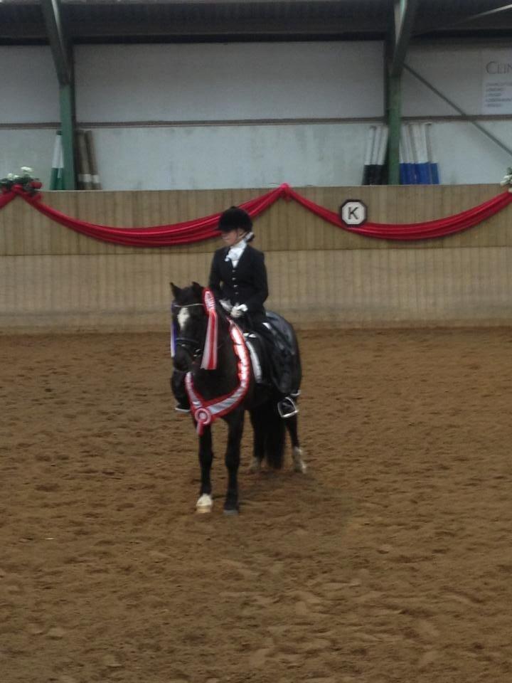 New Forest Firfod Frits Helmuth [MIN STOLTHED] - sidste stævne på min fantastiske pony, også slutter vi af med titlen som klubmester på siv.  billede 26