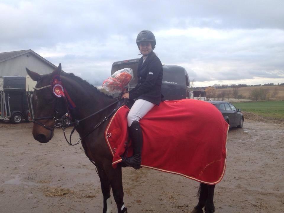 Connemara Pegasus - Hot and Sweet - Silkeborgmester på min skat, 10/11/2013.
"If you can dream it, you can do it!" billede 1