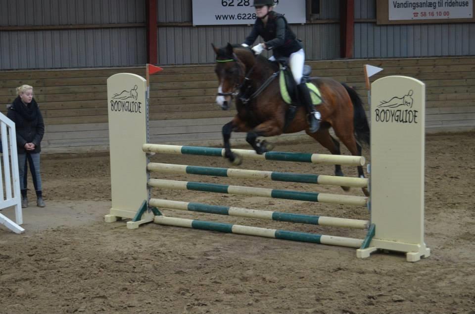 Anden særlig race Frej <3 *stjernen* - we fly <3 billede 8