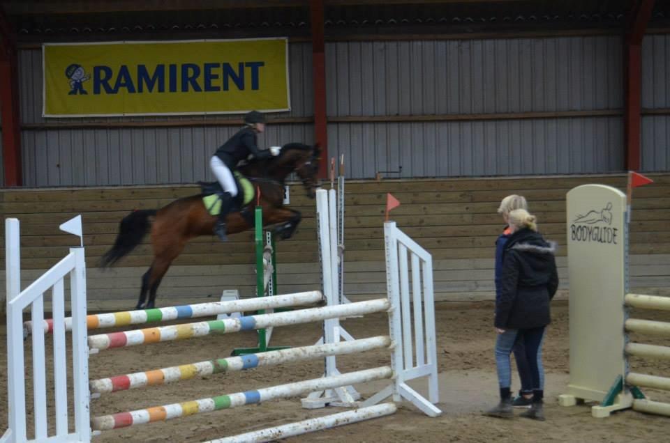 Anden særlig race Frej <3 *stjernen* - we can´t stop <3 billede 9