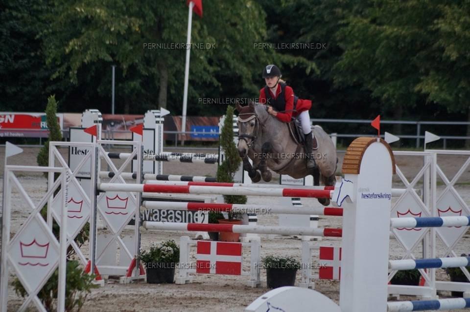 Connemara Bridgewater Opium billede 21