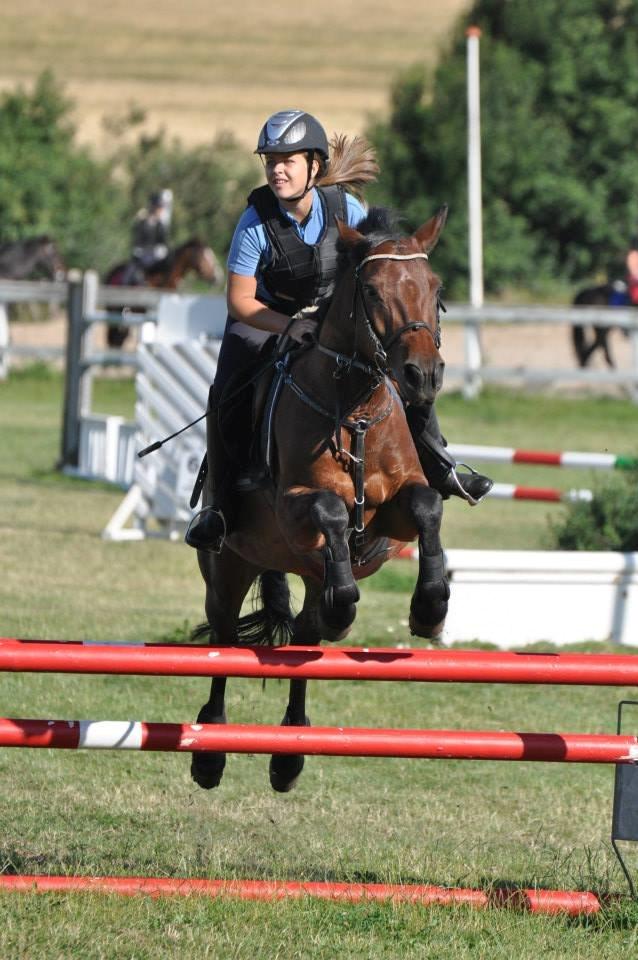 Connemara Pegasus - Hot and Sweet billede 8