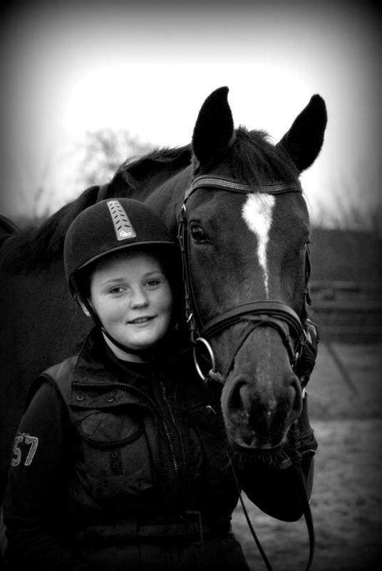 Dansk Varmblod Gørklintgårds Capana billede 1