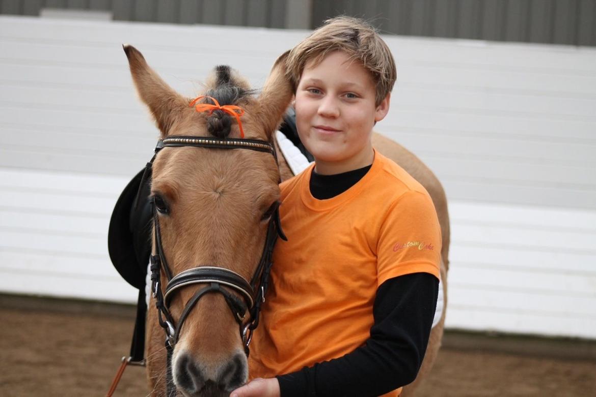 Anden særlig race Mille billede 6