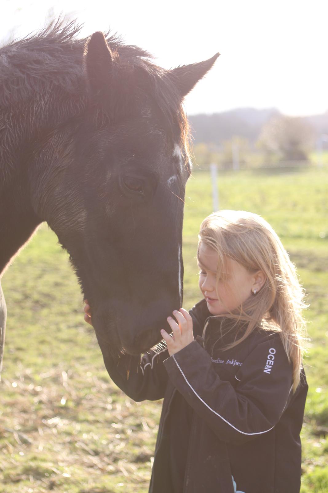 Anden særlig race Mowgli - Jose og Mowlgi på folden :-) billede 19