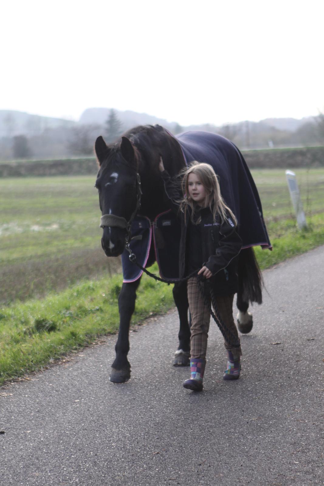 Anden særlig race Mowgli - Jose og Mowgli går en tur :-) billede 21