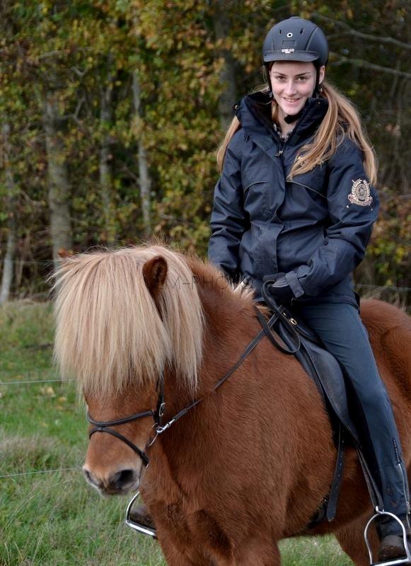 Islænder Torfi fra Ulstrup - Min bedsteven<3 billede 1