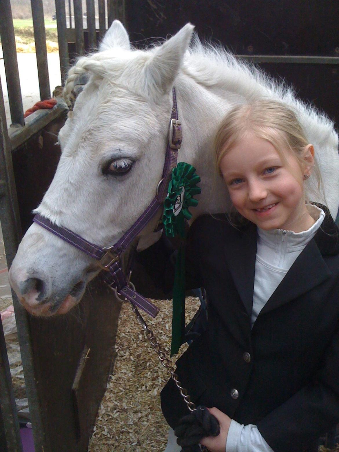 Welsh Mountain (sec A) Tanggårds Figo  - Femte plads i regionsstævnet.Figo var rigtig god. billede 8