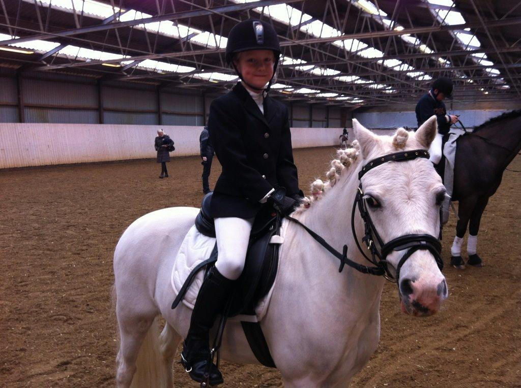 Welsh Mountain (sec A) Tanggårds Figo  - Til stævne igen.Vi vandt en anden plads. billede 10