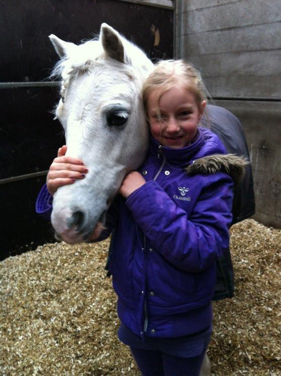 Welsh Mountain (sec A) Tanggårds Figo  - Åhh du er bare så sød!!! billede 11