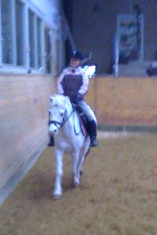 Welsh Mountain (sec A) Tanggårds Figo  - Så er det fuld fart frem!!! billede 12