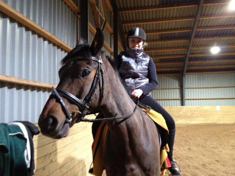 Dansk Varmblod Bøgegårdens Landsriver - Vores aller først ride time sammen billede 3