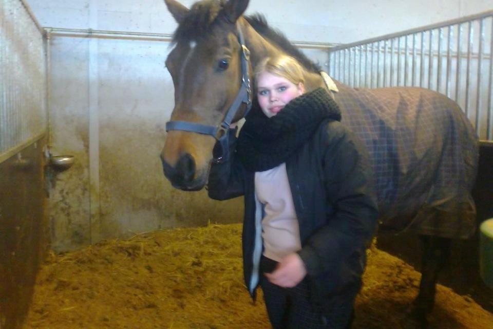 Dansk Varmblod Bøgegårdens Landsriver - Første gang jeg så dig, viste jeg at du skulle være min <3 billede 4