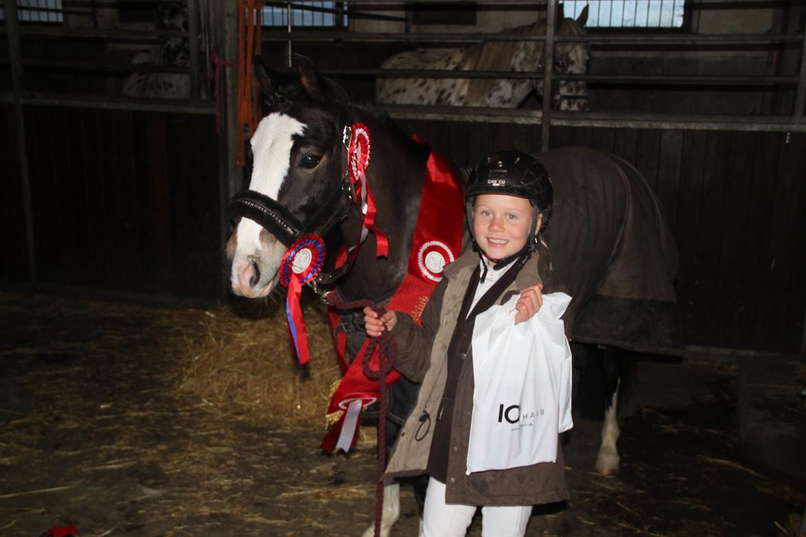 Welsh Pony (sec B) Bakkegaarden´s Chapain - Chapain til mit første springstævne :-) billede 1