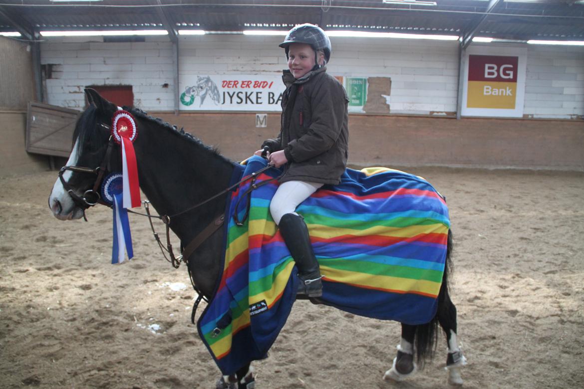 Welsh Pony (sec B) Bakkegaarden´s Chapain - yes igen.

en føreste  plads.:):)og en anden.:):):) billede 2