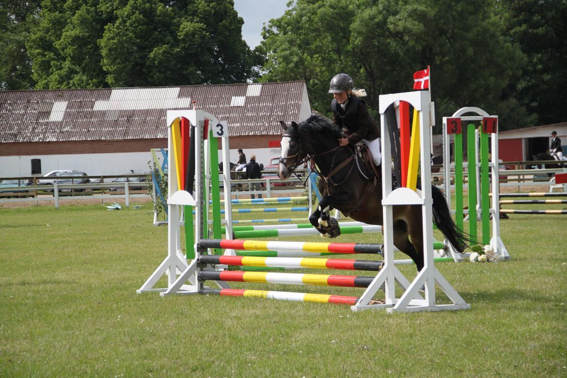 Welsh Pony (sec B) Bakkegaarden´s Chapain - du kan flyve billede 6