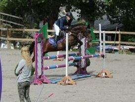 Tysk Sportspony Verdi - B-pony - Silla og verdi billede 11