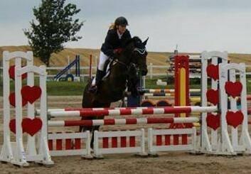 Tysk Sportspony Verdi - B-pony - Silla og verdi billede 13