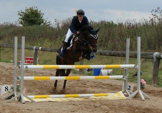 Tysk Sportspony Verdi - B-pony - Silla og verdi billede 14