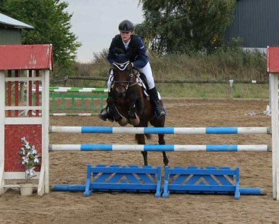 Tysk Sportspony Verdi - B-pony - Silla og verdi billede 15