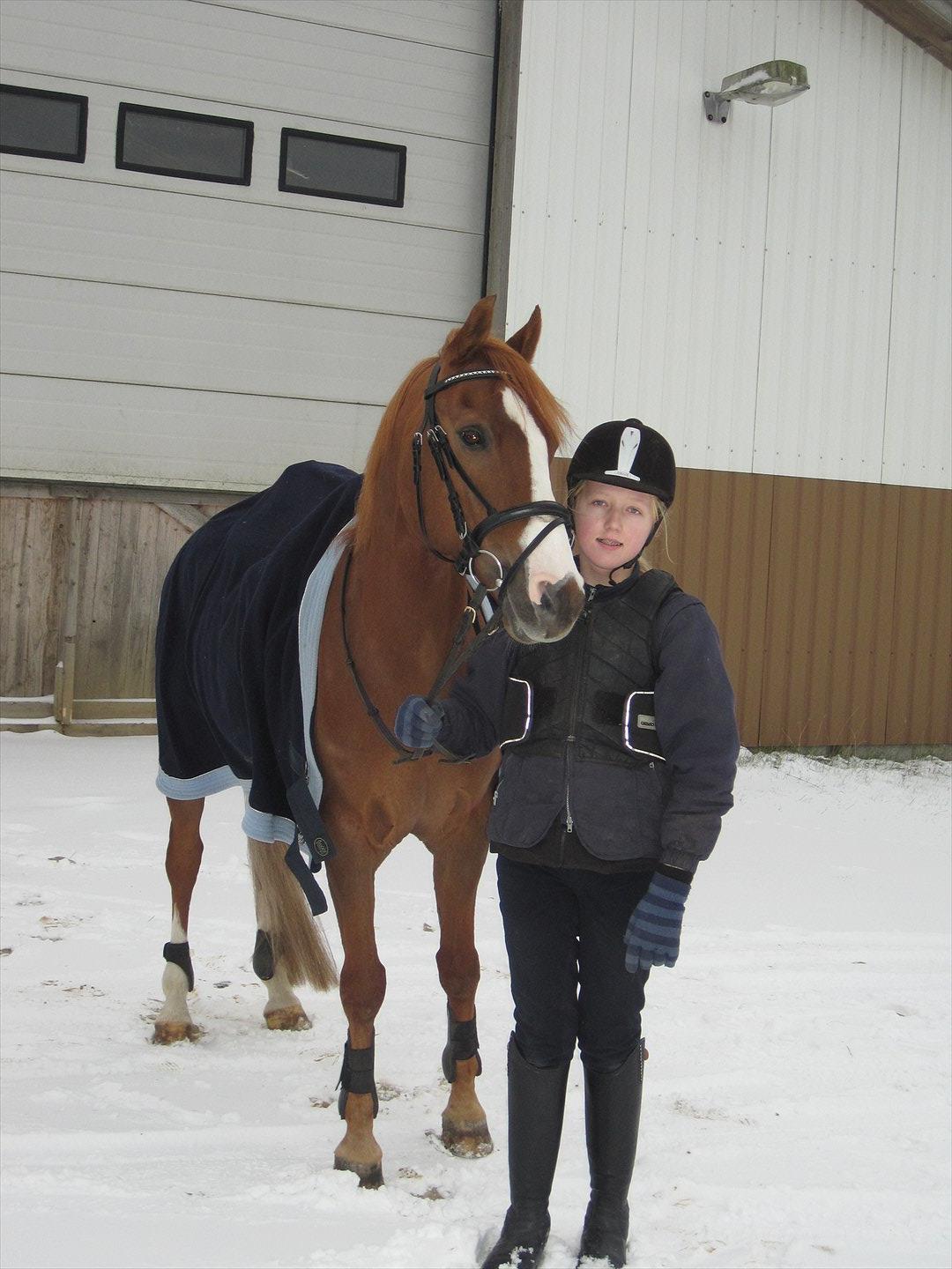 Anden særlig race Mon Cheri<3 billede 19