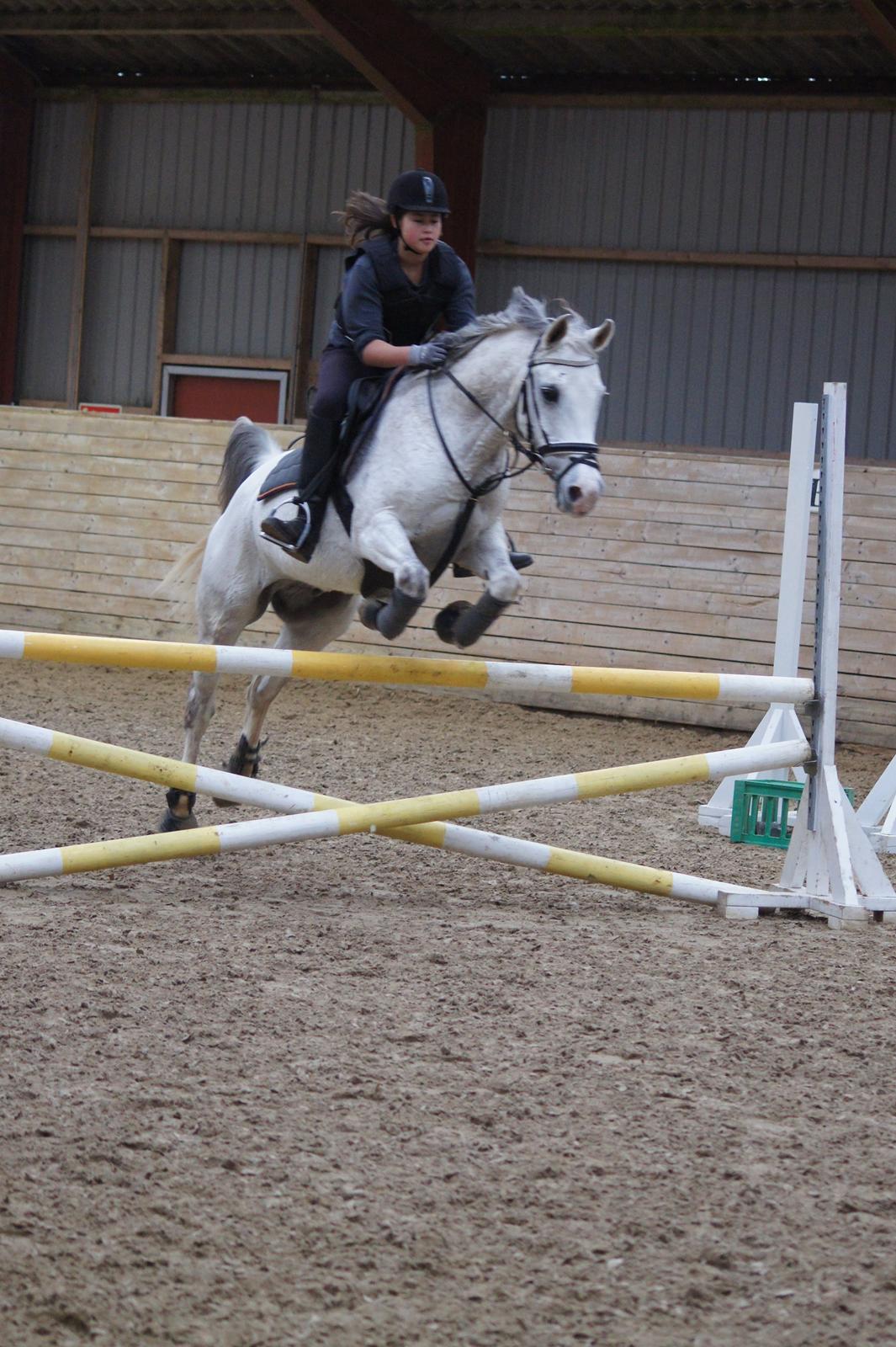 DSP Hannibal - Julie og Hanni <3 billede 21