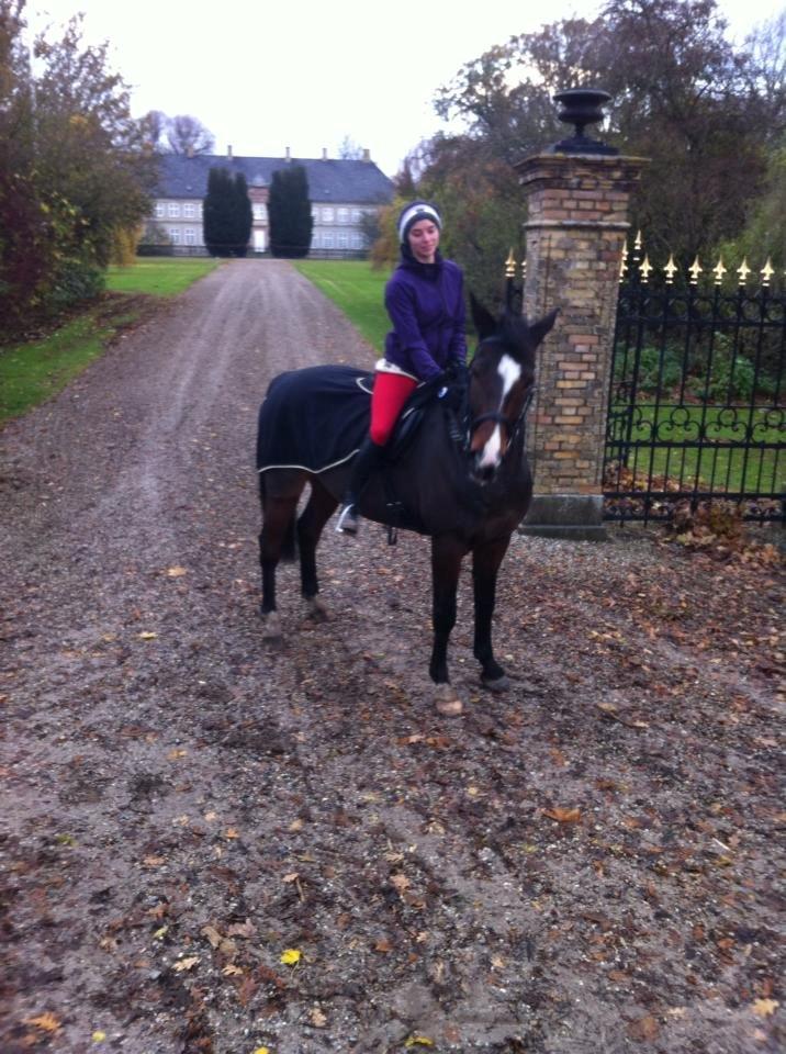 Traver Nok`en svimmel billede 1