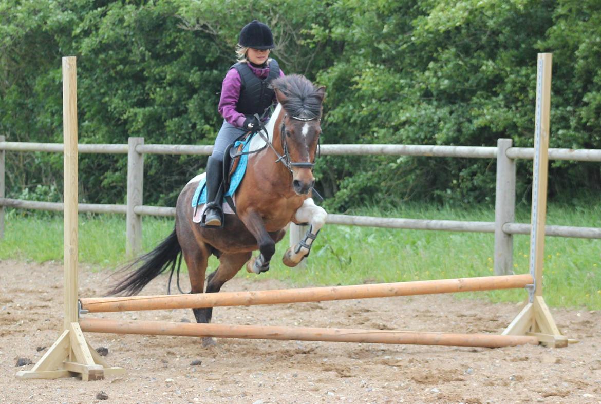 Anden særlig race | Charming lotte - Camilla og Lotte 10 år - lidt seje - første gang Camilla red hende :) billede 20